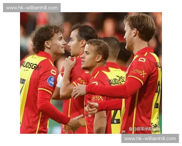 荷甲战队：荷兰绿茵场上的战术与激情